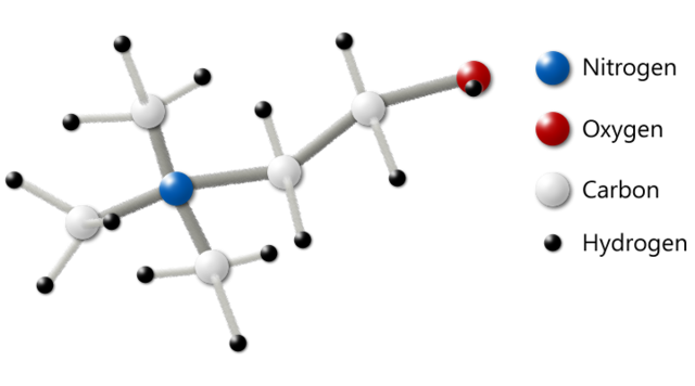 Choline_Molecule