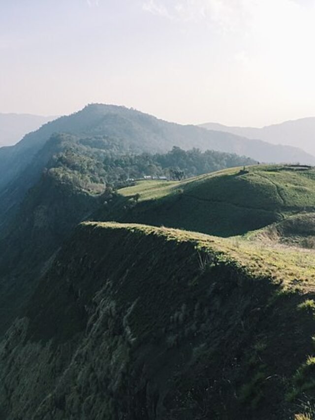 Nagaland